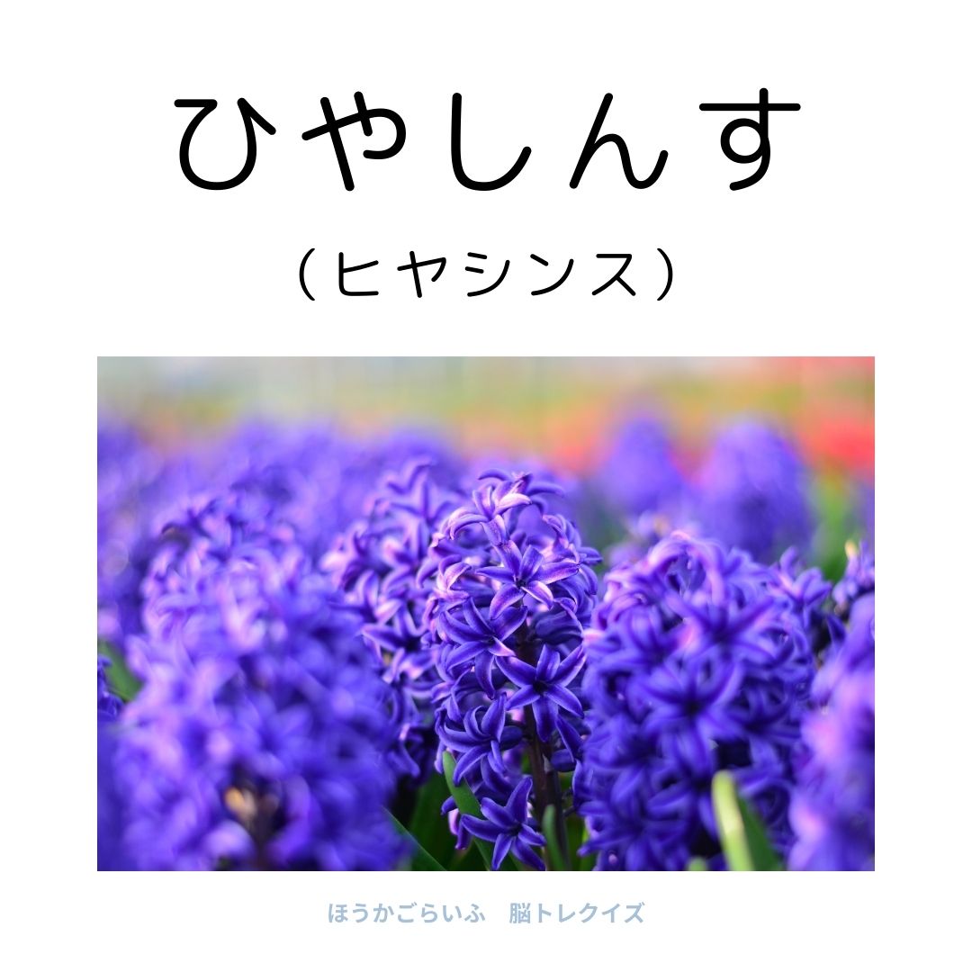 高齢者向け（無料）言葉の並び替えで脳トレしよう！文字（ひらがな）を並び替える簡単なゲーム【花の名前】健康寿命を延ばす鍵